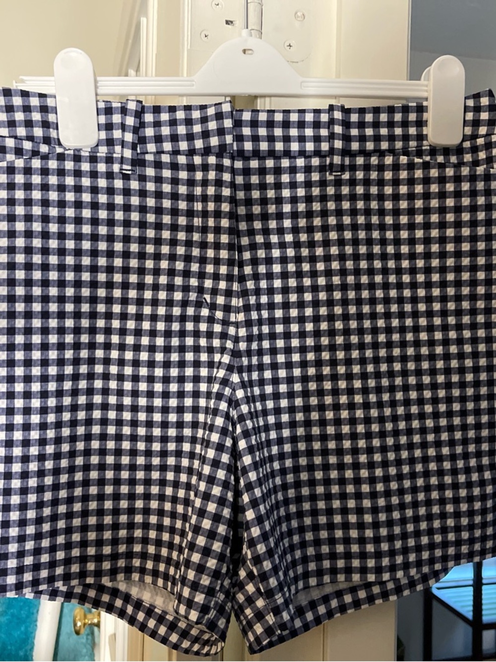 Gingham Navy and White Women’s Shorts